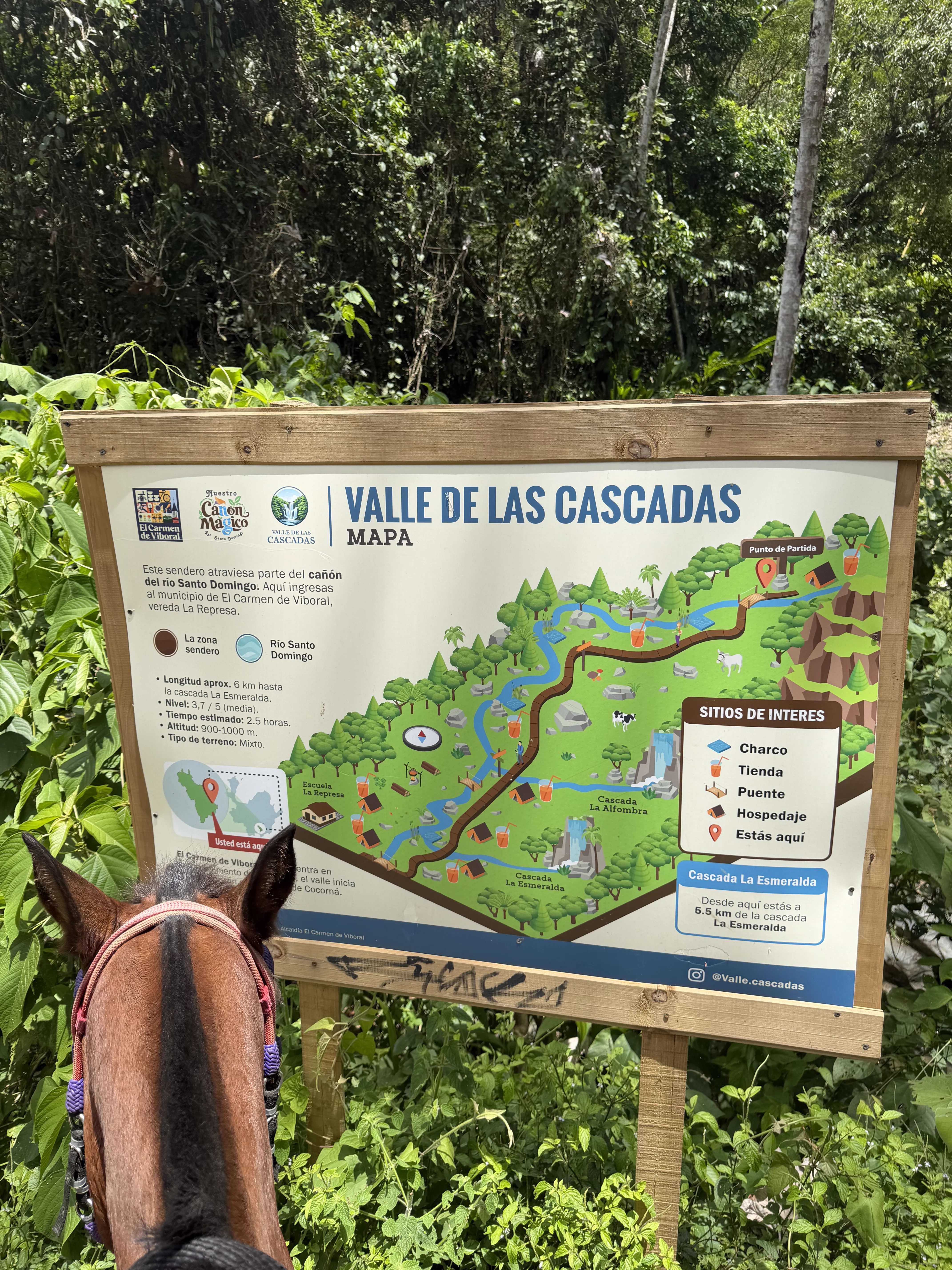 Vista al valle desde Finca La Esmeralda